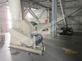 Quạt và máy sàn